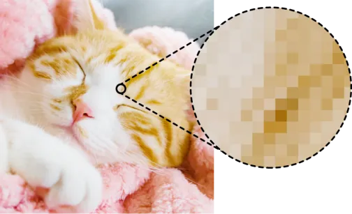 ピンクの毛布で眠る猫の写真。その一部が丸く拡大され、画像が四角いピクセルの集まりで構成されていることを示している。