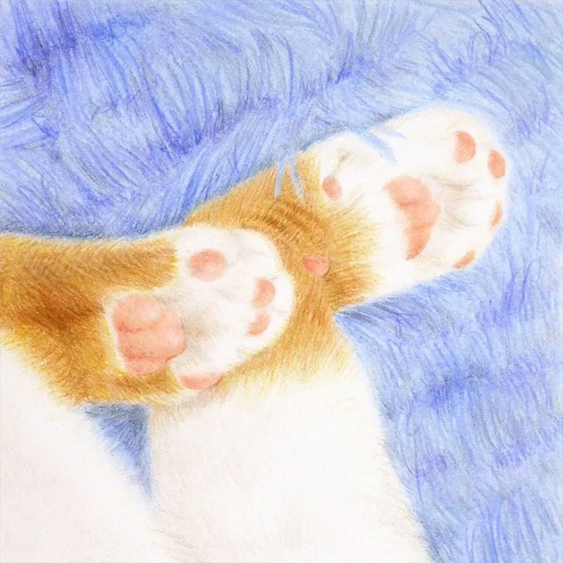 青いクッションの上に伸ばした茶白猫の前足と肉球の色鉛筆画