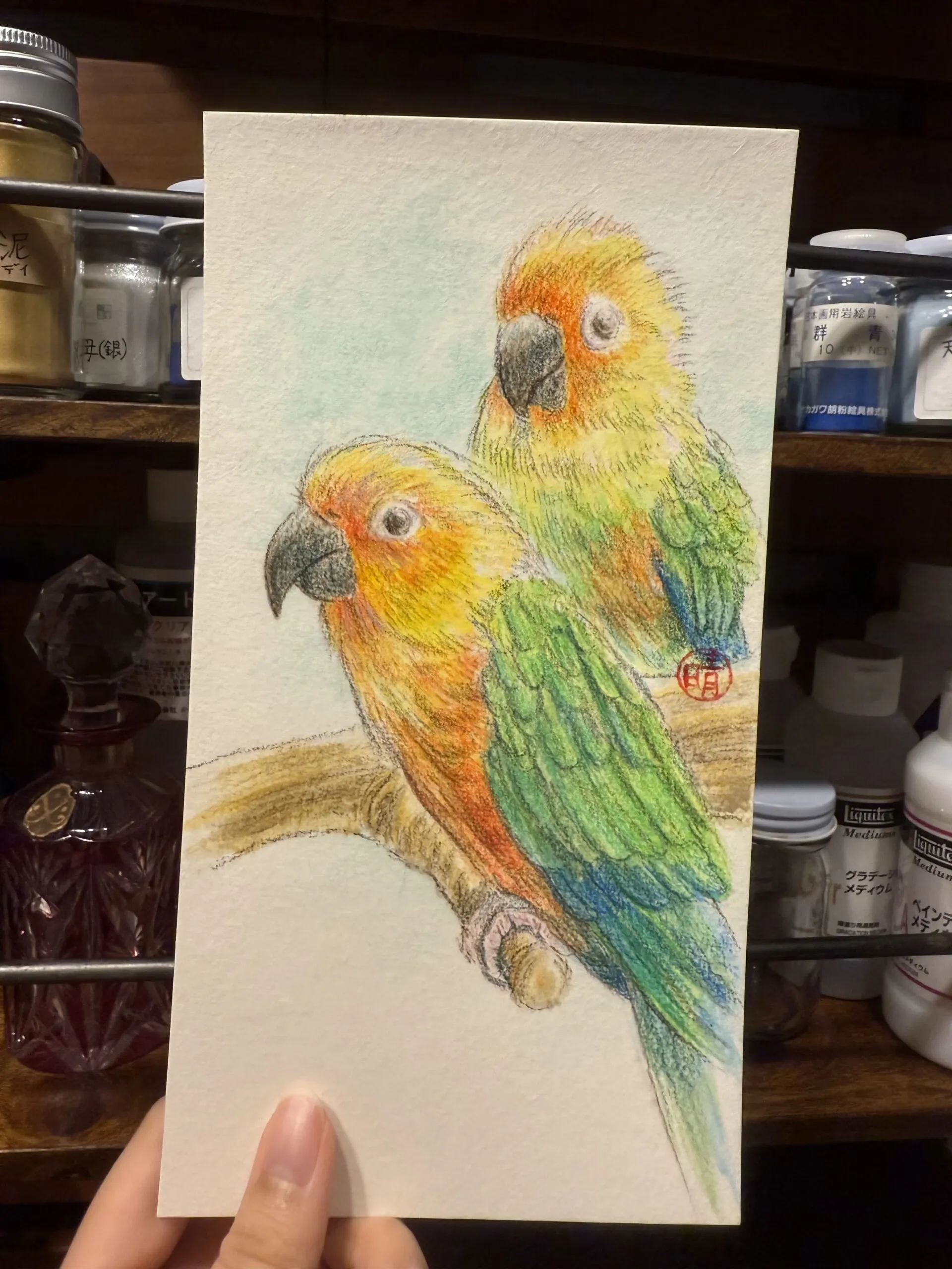 色鉛筆と顔彩で描かれた、2羽のコガネメキシコインコの絵