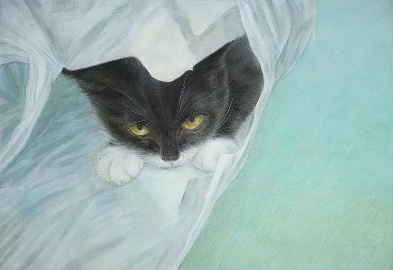 白いビニール袋の中から、じっとどこかを見つめる白黒の子猫の絵