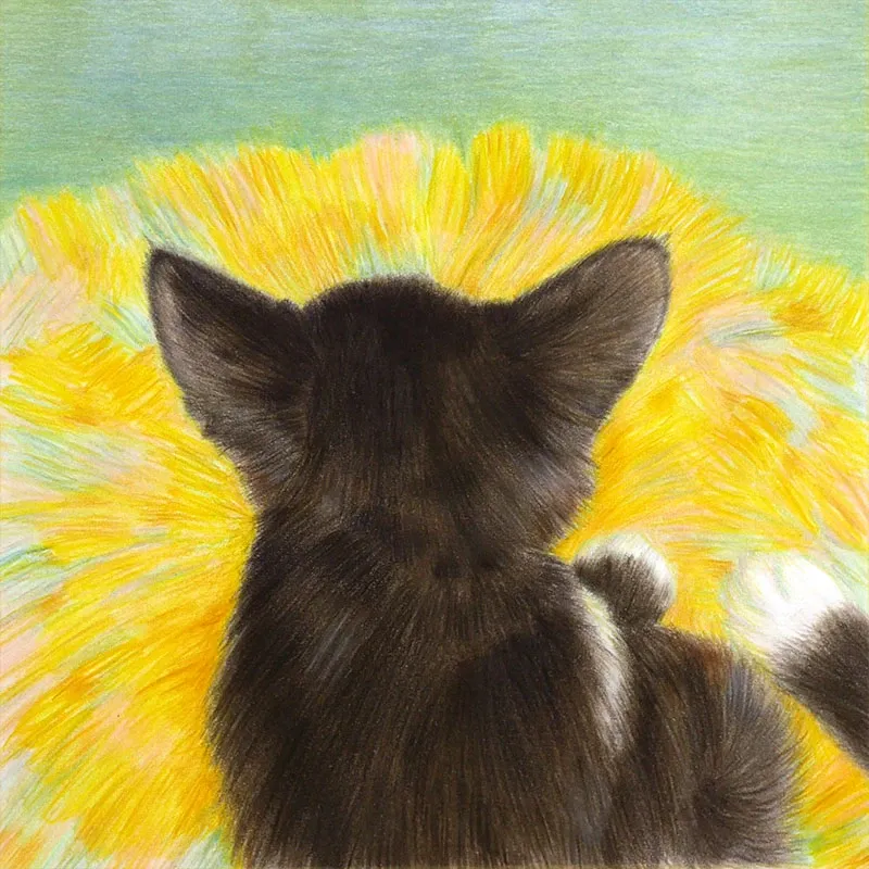 Colored pencil drawing of a black-and-white cat seen from behind, sleeping on a yellow cushion.