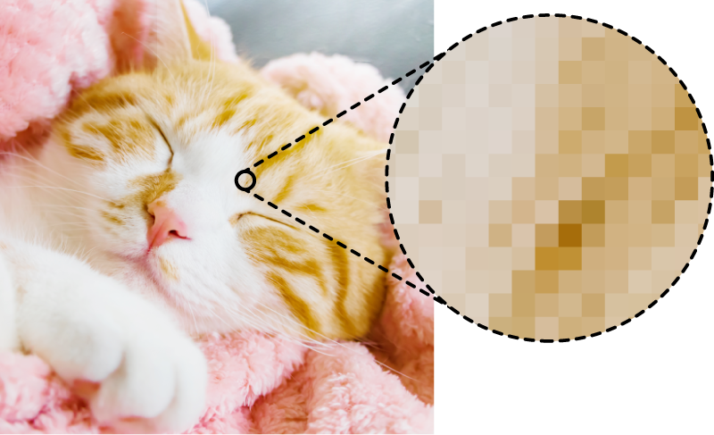 ピンクの毛布で眠る猫の写真。その一部が丸く拡大され、画像が四角いピクセルの集まりで構成されていることを示している。