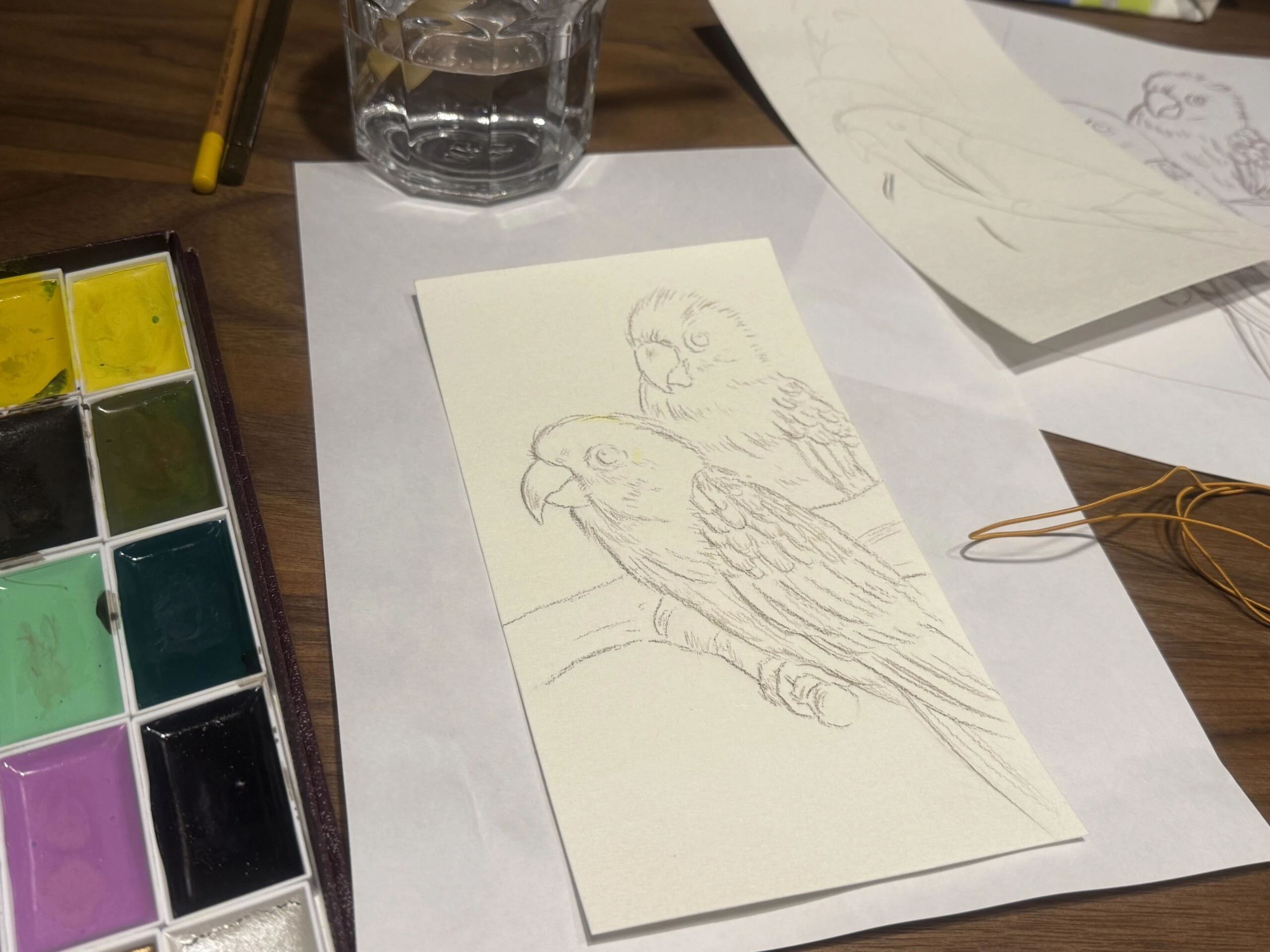 コガネメキシコインコの線画と、制作に使っている顔彩パレットが置かれた机の上