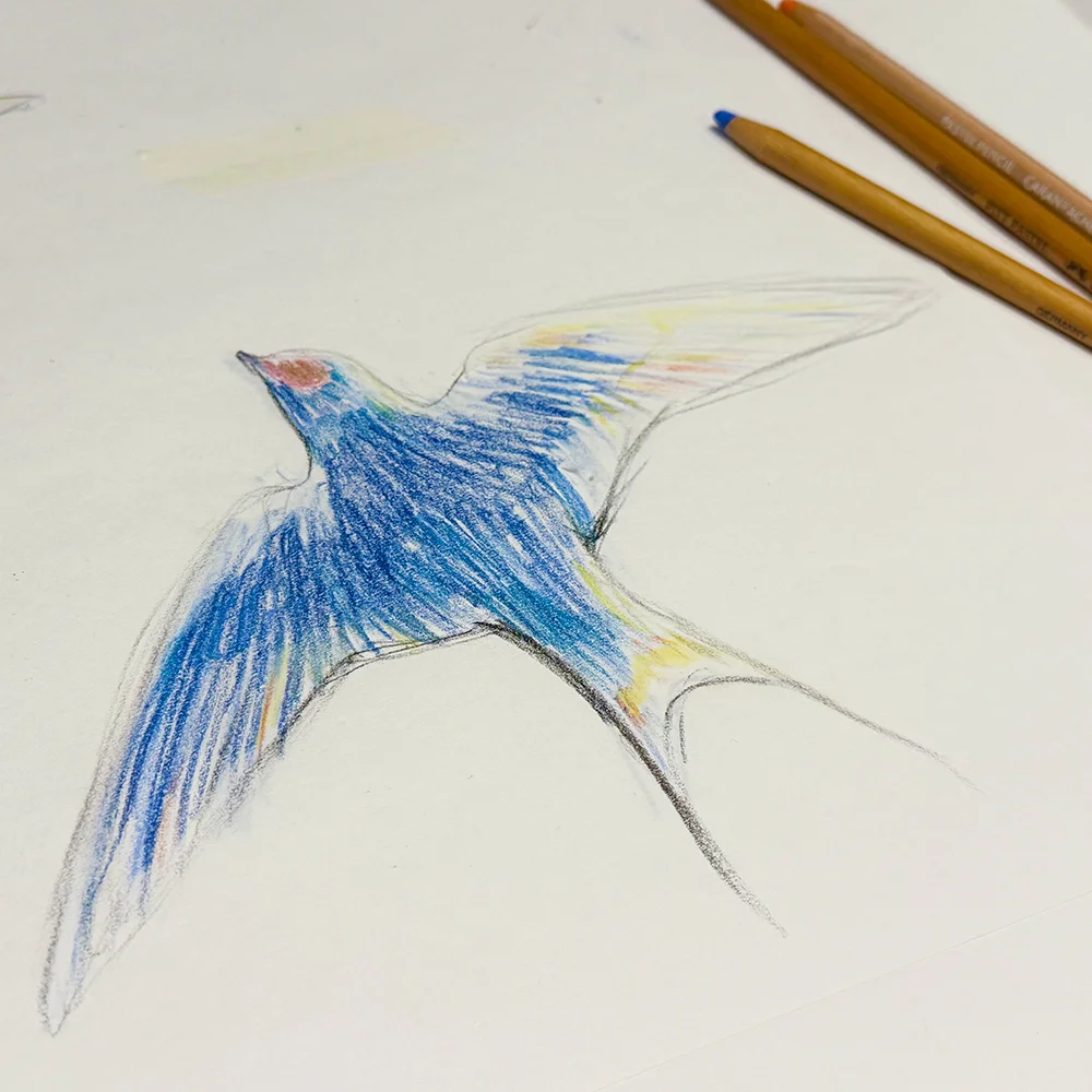 色鉛筆で描かれた、飛んでいるツバメのイラスト。横に色鉛筆が置かれている写真