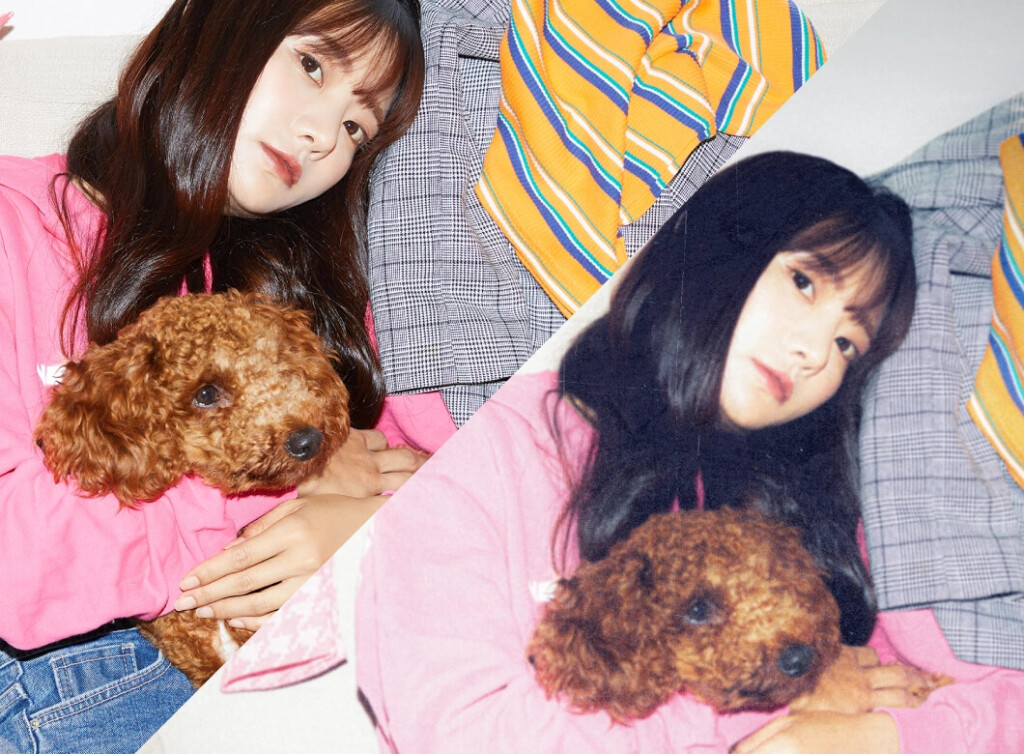 犬を抱く女性の写真を使った画像加工(レタッチ)の比較画像。左の加工前と、右のクールな色味に調整された加工後が並んでいる。